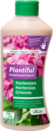 Plantiful Hortensias