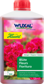 WUXAL Blüte