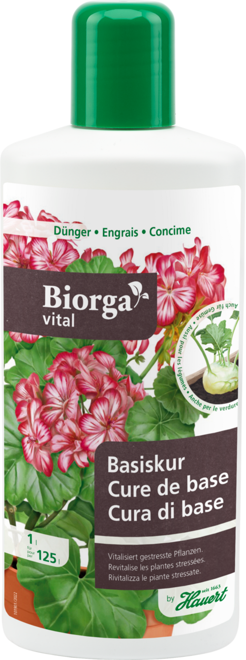 Biorga Vital Basiskur | HAUERT